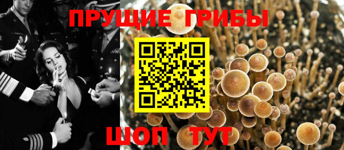 Усть-Илимск  Галлюциногенные грибы мицелий  Галлюциногенные грибы ЛСД  Вход с VPN 