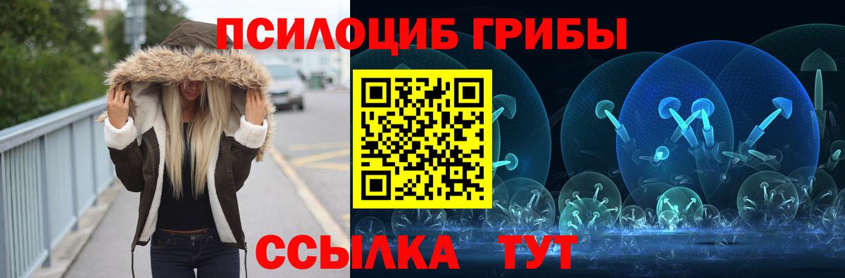 Галлюциногенные грибы GOLDEN TEACHER Усть-Илимск